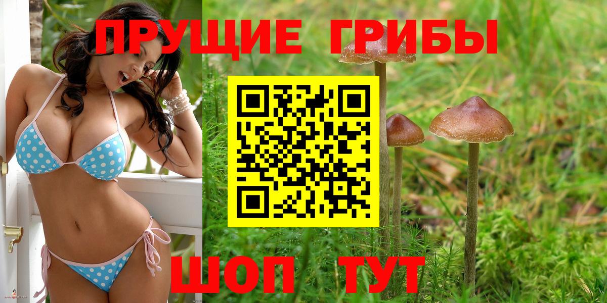 Псилоцибиновые грибы ЛСД Ступино